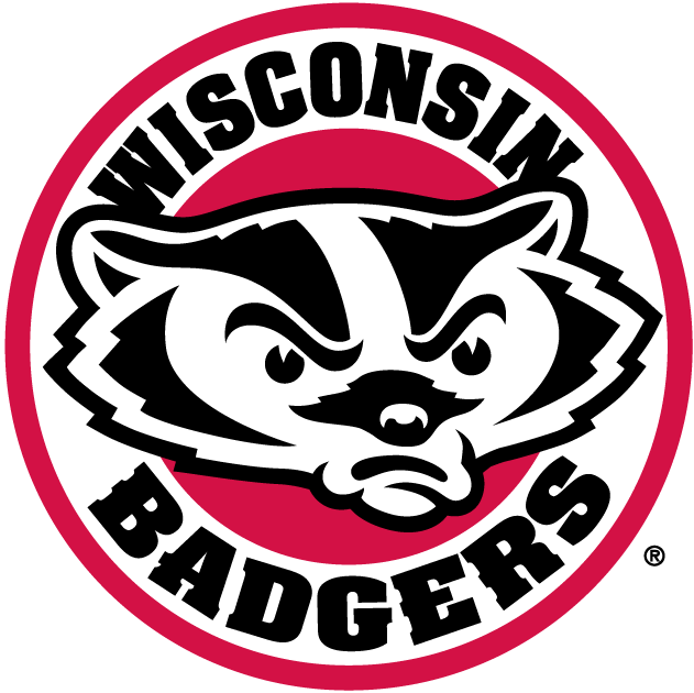 Wisconsin Badgers 2002-Pres Alternate Logo t shirts iron on transfers v2...